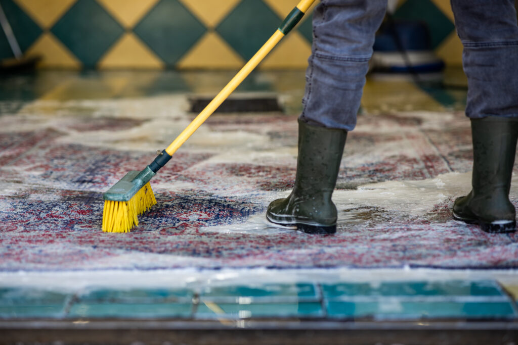 standard rug cleaning in fort worth